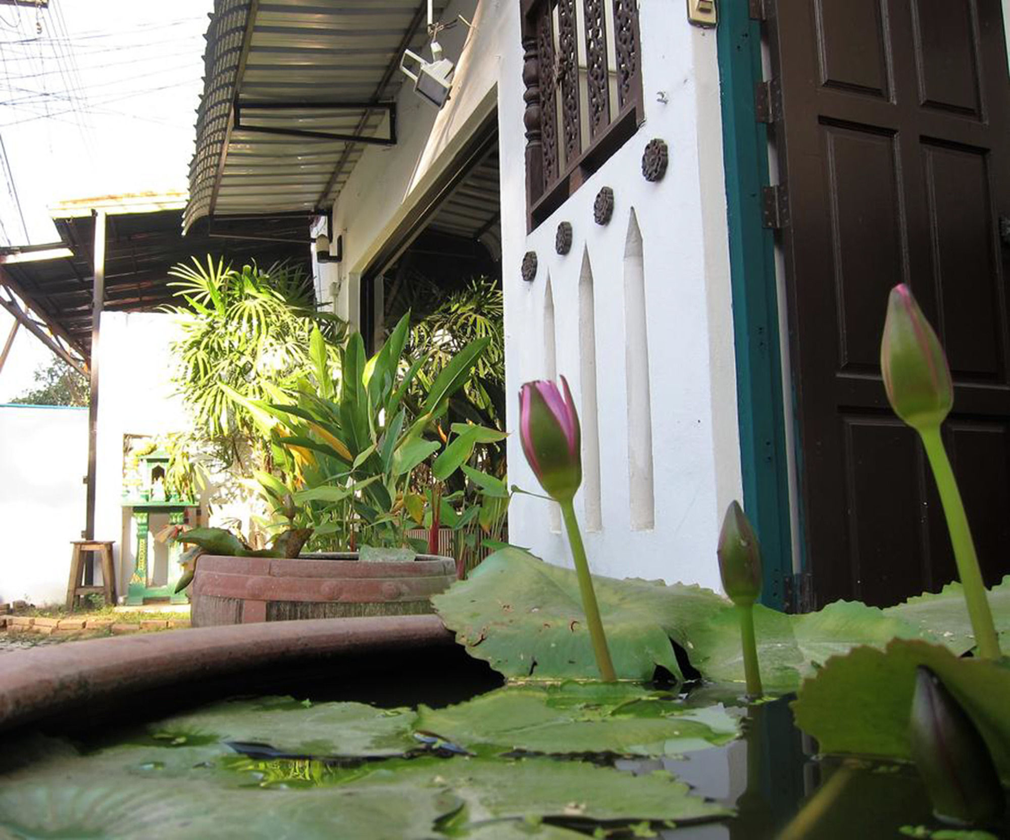 V Lodge Chiang Mai Eksteriør billede